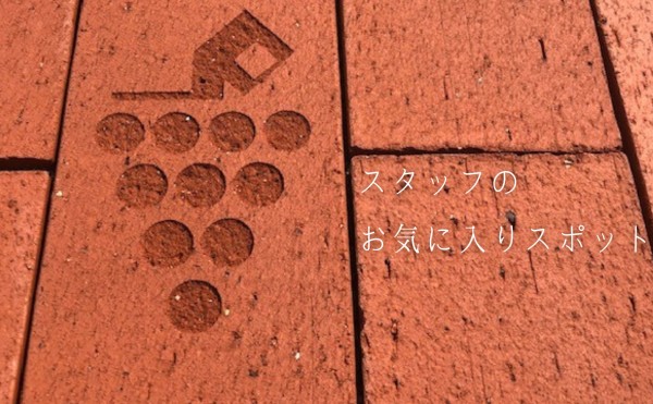 スタッフのお気に入り spot‼