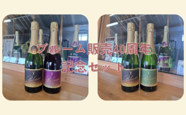 ブルーム 発売40周年記念セット