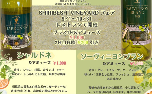 SHIRIBESHI VINEYARDフェア開催！！